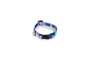 Beeztees Köpek Boyun Tasması, Renkli Kalın Çizgiler, 20-30cm, 10mm - 3