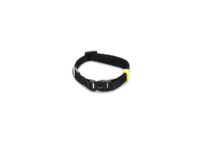 Beeztees Köpek Boyun Tasması, Siyah, 20-30cm, 10mm - 2