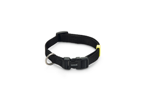 Beeztees Köpek Boyun Tasması, Siyah, 26-40cm, 15mm - 2