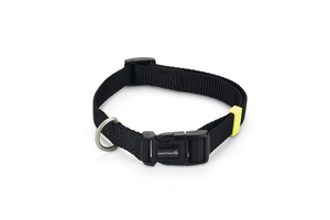 Beeztees Köpek Boyun Tasması, Siyah, 35-50cm, 20mm - 2