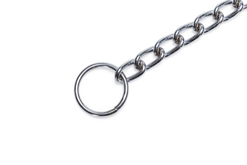 Beeztees Köpek Boyun Tasması, Zincir, 50x1x0,30cm - 5