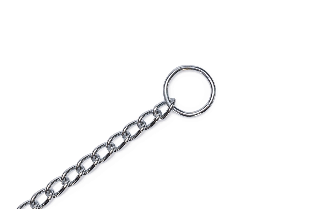 Beeztees Köpek Boyun Tasması, Zincir, 55x0,8x0,25cm - 5