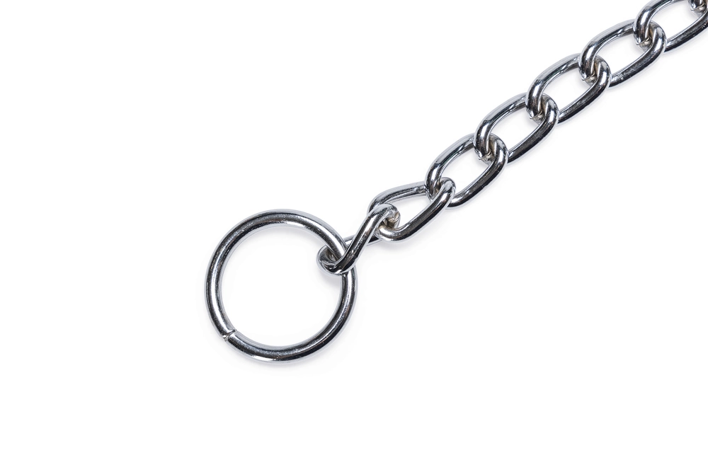 Beeztees Köpek Boyun Tasması, Zincir, 70x1x0,30cm - 4