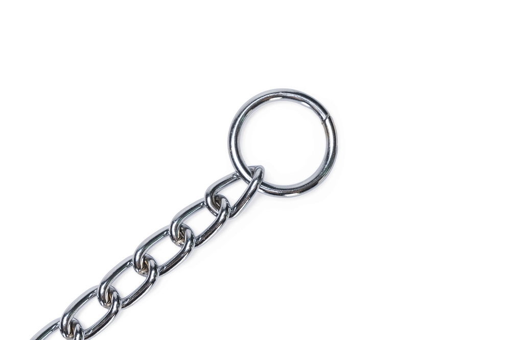 Beeztees Köpek Boyun Tasması, Zincir, 70x1x0,30cm - 5