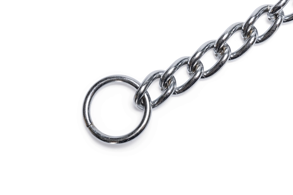 Beeztees Köpek Boyun Tasması, Zincir, 80x1x0,40cm - 3