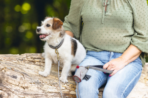 Beeztees Köpek Dışkı Toplama Poşeti Taşıma Çantası, Gri, 8x5x5cm - 3