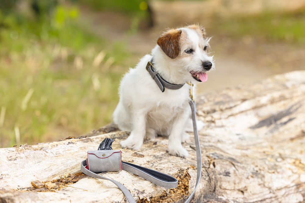 Beeztees Köpek Dışkı Toplama Poşeti Taşıma Çantası, Gri, 8x5x5cm - 4