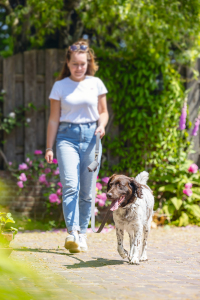 Beeztees Köpek Dışkı Toplama Poşeti Taşıma Çantası, Gri, 8x5x5cm - 5