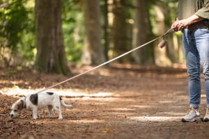 Beeztees Köpek Dışkı Toplama Poşeti Taşıma Çantası, Pudra Pembe, 8x5x5cm - 4