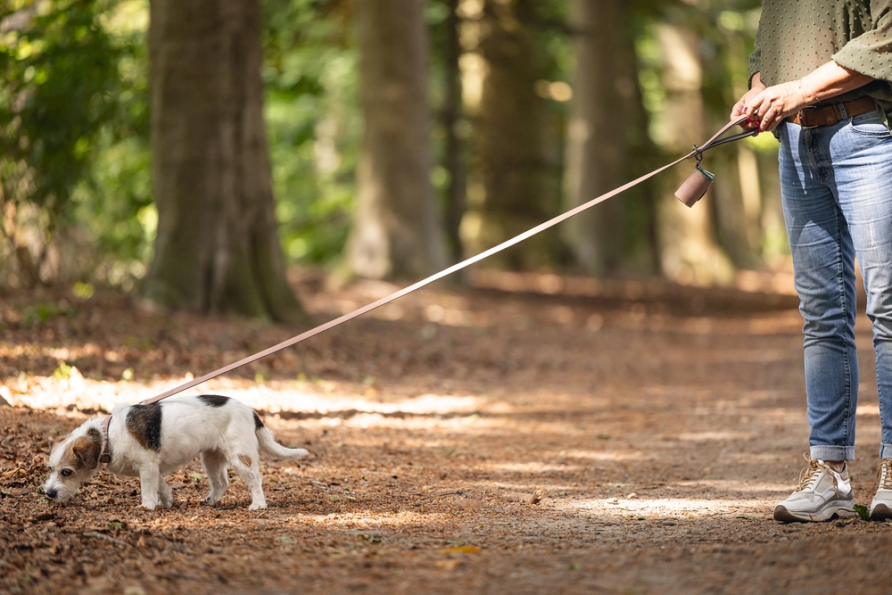 Beeztees Köpek Dışkı Toplama Poşeti Taşıma Çantası, Pudra Pembe, 8x5x5cm - 4