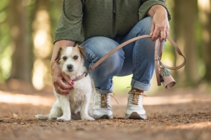 Beeztees Köpek Dışkı Toplama Poşeti Taşıma Çantası, Pudra Pembe, 8x5x5cm - 5