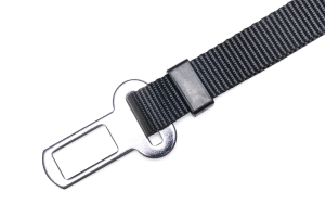 Beeztees Köpek Emniyet Kemeri, Siyah, M, 80x2,5cm - 3