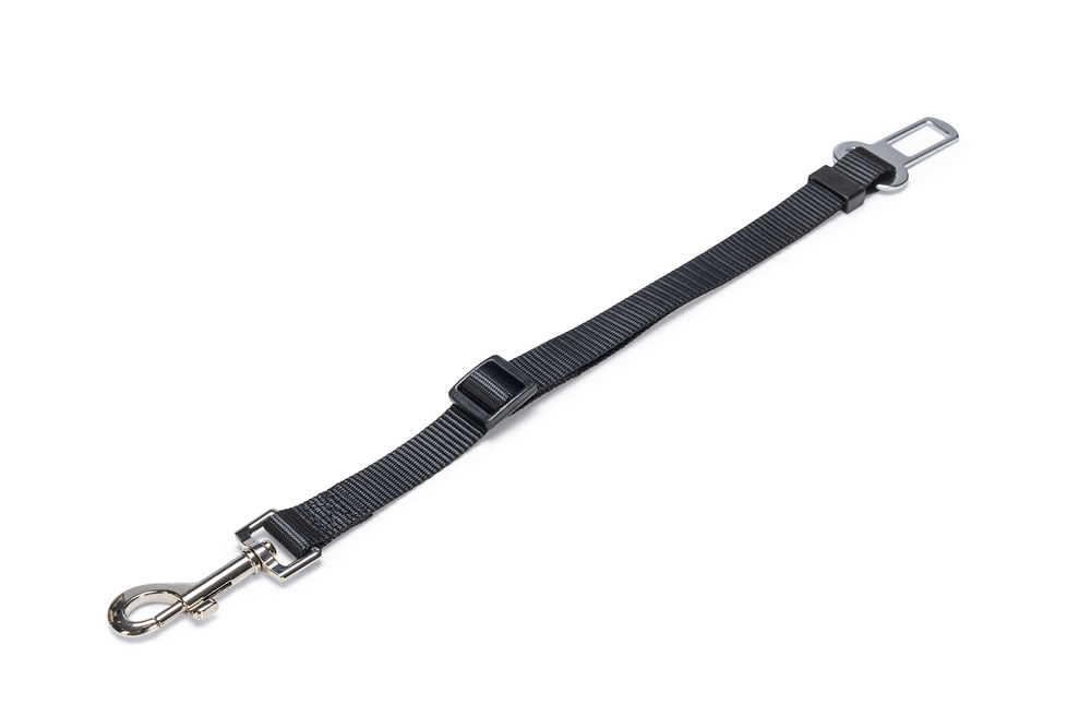 Beeztees Köpek Emniyet Kemeri, Siyah, S, 55x1,5cm - 1