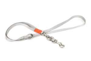 Beeztees Köpek Gezdirme Kayışı, Açık Gri, 120cm, 20mm
