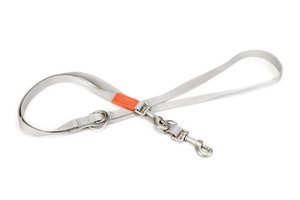 Beeztees Köpek Gezdirme Kayışı, Açık Gri, 120cm, 20mm