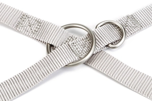 Beeztees Köpek Gezdirme Kayışı, Açık Gri, 120cm, 20mm - 3