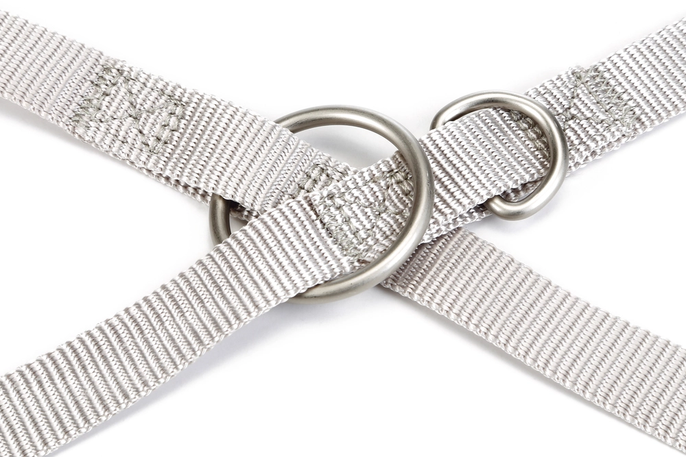 Beeztees Köpek Gezdirme Kayışı, Açık Gri, 120cm, 20mm - 3