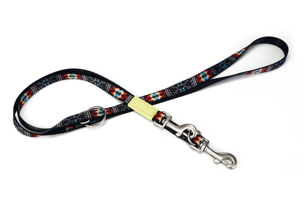 Beeztees Köpek Gezdirme Kayışı, Desenli, 200cm, 20mm - 4