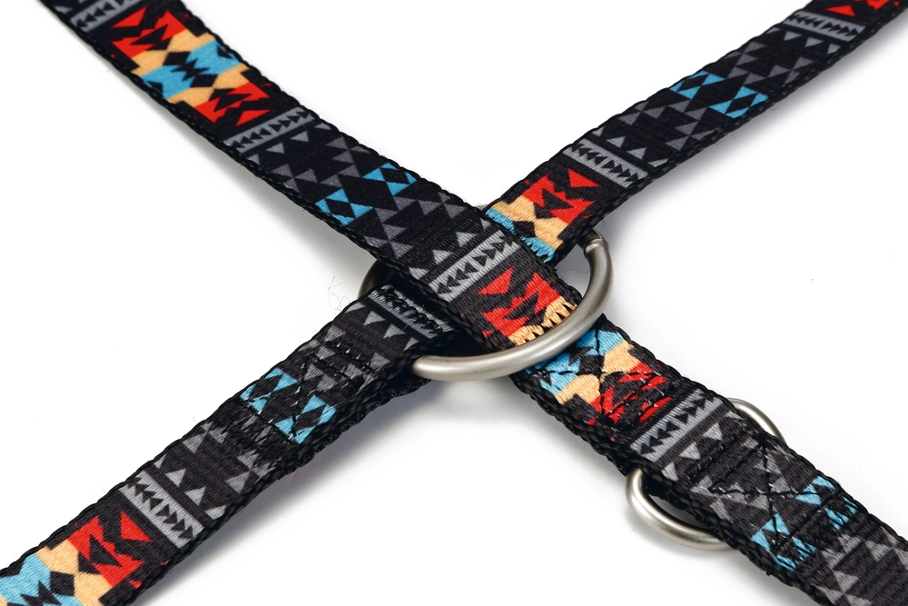 Beeztees Köpek Gezdirme Kayışı, Desenli, 200cm, 20mm - 2