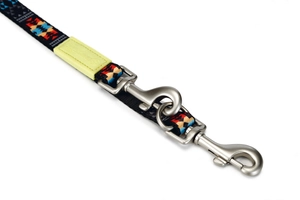 Beeztees Köpek Gezdirme Kayışı, Desenli, 200cm, 20mm - 3