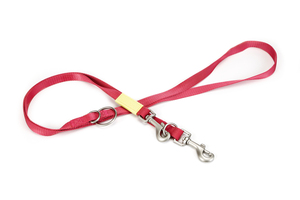 Beeztees Köpek Gezdirme Kayışı, Pembe, 200cm, 20mm - 4