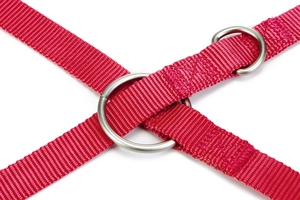 Beeztees Köpek Gezdirme Kayışı, Pembe, 200cm, 20mm - 3