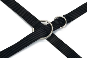 Beeztees Köpek Gezdirme Kayışı, Siyah, 200cm, 20mm - 3