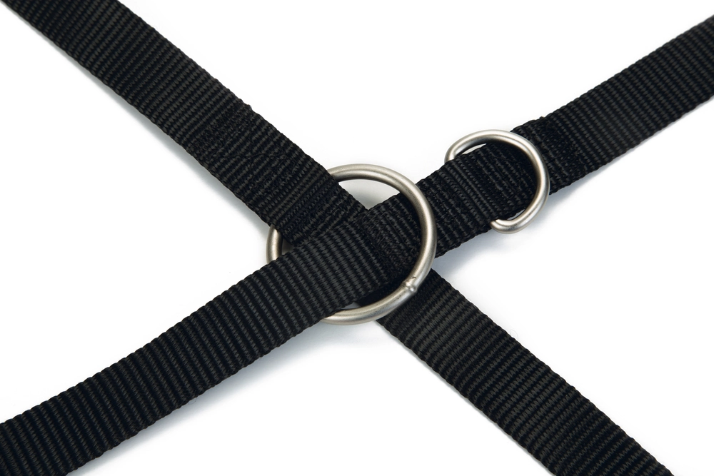 Beeztees Köpek Gezdirme Kayışı, Siyah, 200cm, 20mm - 3