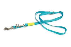 Beeztees Köpek Gezdirme Kayışı, Turkuaz, 200cm, 20mm - 4