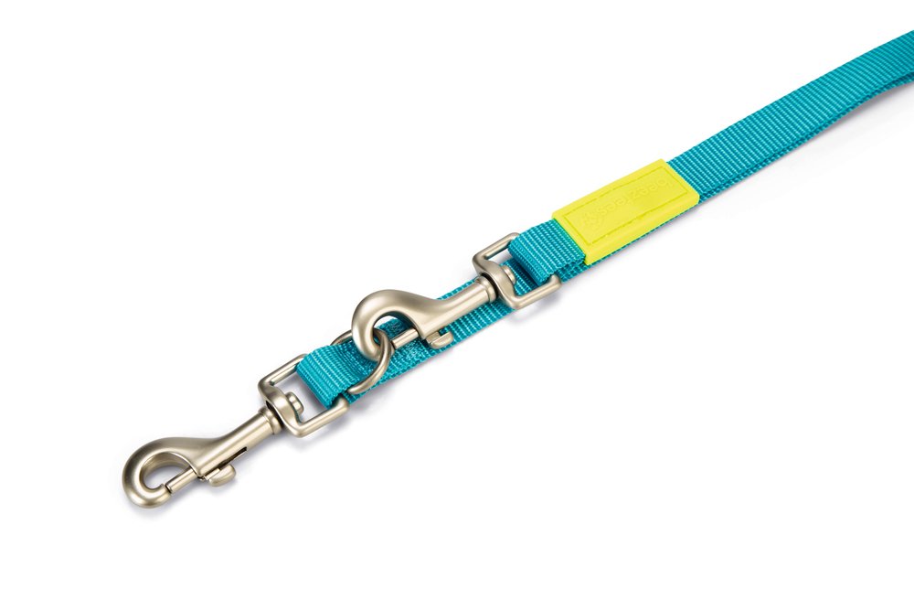 Beeztees Köpek Gezdirme Kayışı, Turkuaz, 200cm, 20mm - 2