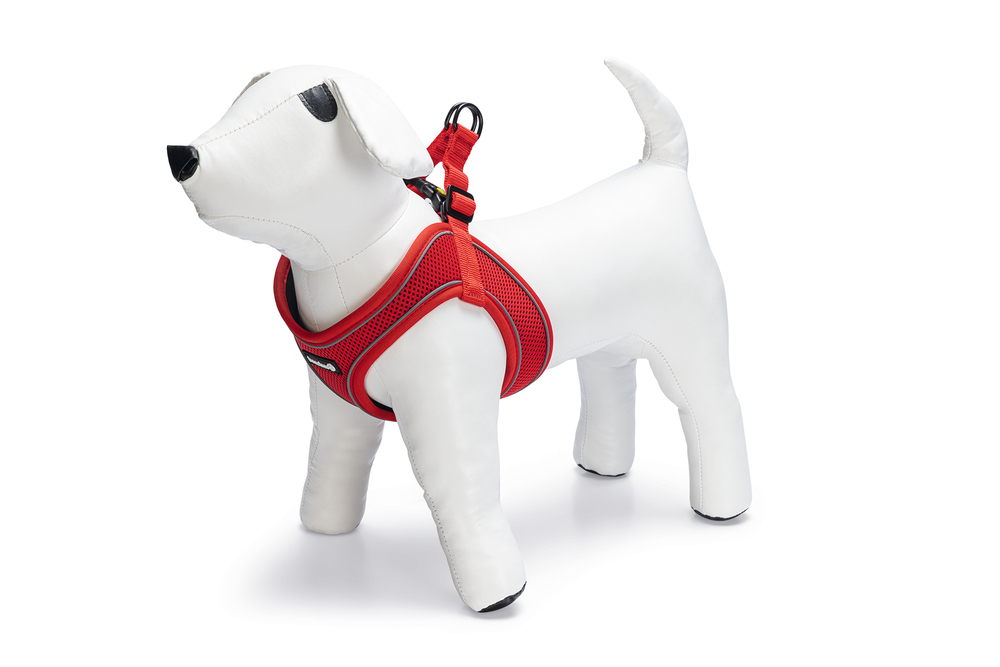 Beeztees Köpek Göğüs Tasması, Neopren, Kırmızı, S, 38-44cm - 6