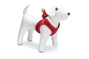 Beeztees Köpek Göğüs Tasması, Neopren, Kırmızı, XS, 30-35cm - 2