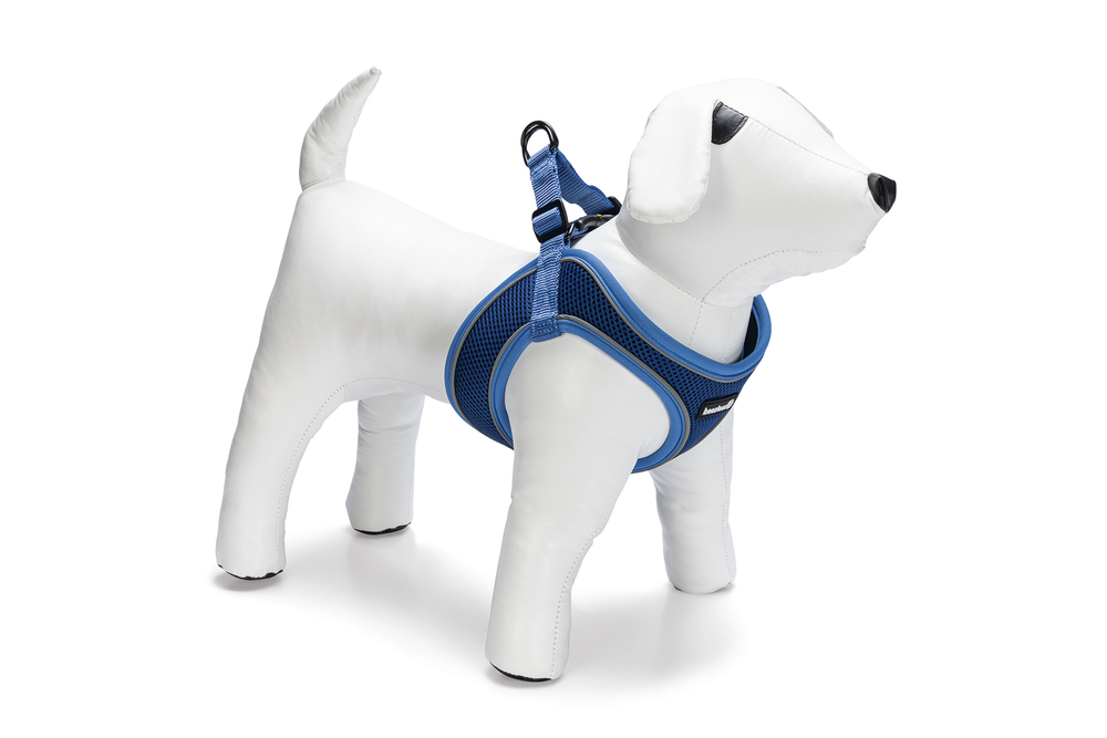 Beeztees Köpek Göğüs Tasması, Neopren, Mavi, M, 41-46cm - 2