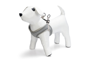 Beeztees Köpek Göğüs Tasması, Neopren, Yeşil, M, 41-46cm - 6