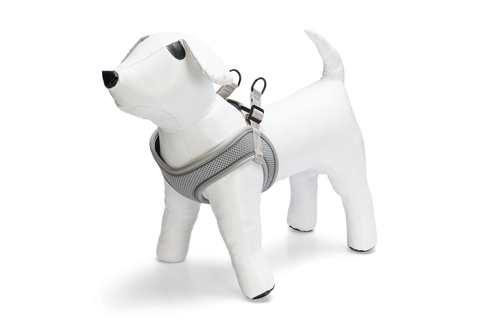 Beeztees Köpek Göğüs Tasması, Neopren, Yeşil, M, 41-46cm - 6