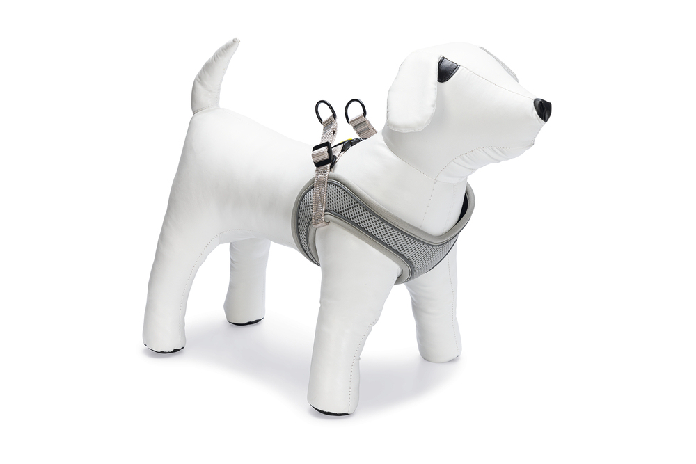 Beeztees Köpek Göğüs Tasması, Neopren, Yeşil, M, 41-46cm - 2