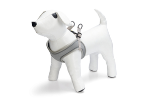 Beeztees Köpek Göğüs Tasması, Neopren, Yeşil, M, 41-46cm
