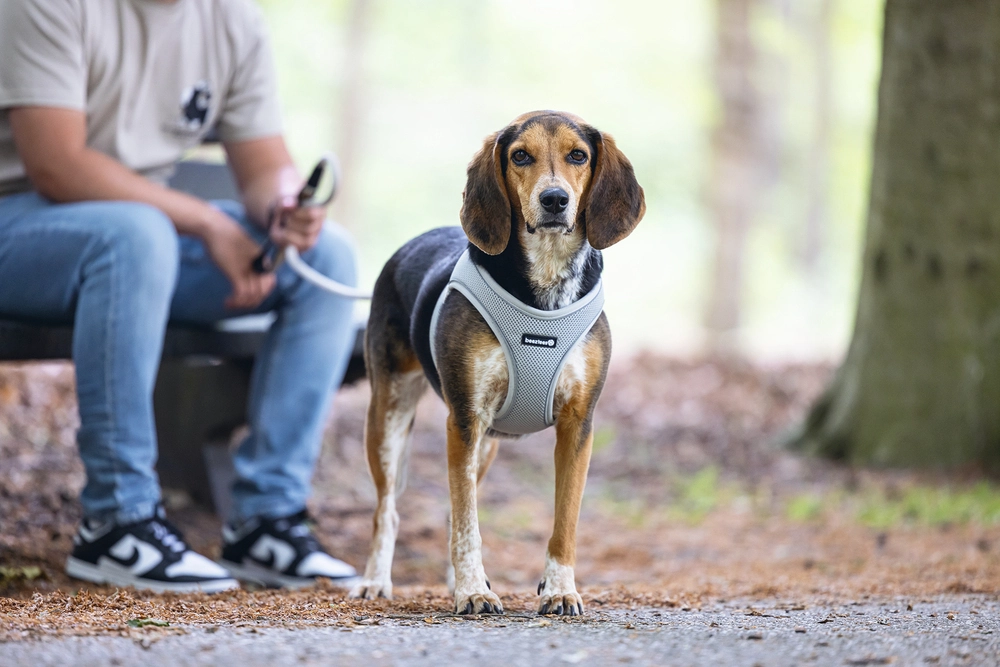 Beeztees Köpek Göğüs Tasması, Neopren, Yeşil, M, 41-46cm - 5