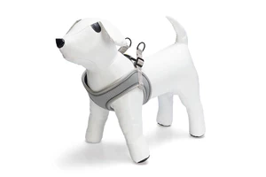 Beeztees Köpek Göğüs Tasması, Neopren, Yeşil, XS, 30-35cm - 6