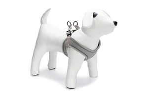 Beeztees Köpek Göğüs Tasması, Neopren, Yeşil, XS, 30-35cm - 2