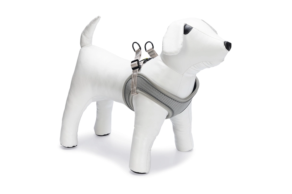 Beeztees Köpek Göğüs Tasması, Neopren, Yeşil, XS, 30-35cm - 2