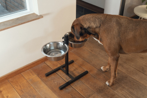 Beeztees Köpek İkili Mama Su Kabı, Ayaklı, Paslamaz Çelik, 28cm, 2x4,5L - 2