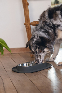 Beeztees Köpek İkili Mama ve Su Kabı, Paslanmaz Çelik, 40x24cm, 2x500ml - 4