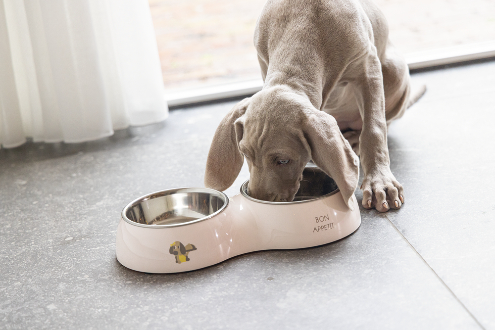 Beeztees Köpek Mama Su Kabı, Paslanmaz Çelik, Pudra Pembe, 18cm, 350ml - 2