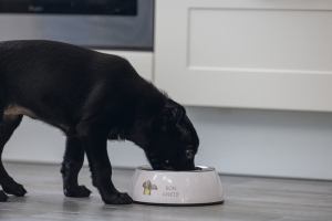 Beeztees Köpek Mama Su Kabı, Paslanmaz Çelik, Pudra Pembe, 18cm, 350ml - 3