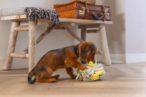 Beeztees Köpek Ödül Saklama Oyuncağı, Top, Polar, Gri/Yeşil, 13cm - 4