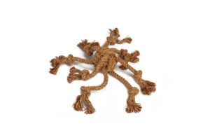 Beeztees Köpek Oyuncağı, Diş İpi Ahtapot Şeklinde, Pamuk İplerden, 32cm