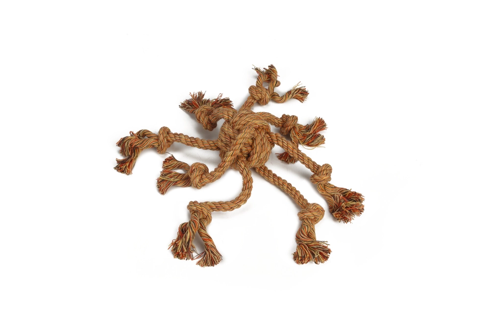 Beeztees Köpek Oyuncağı, Diş İpi Ahtapot Şeklinde, Pamuk İplerden, 32cm - 1