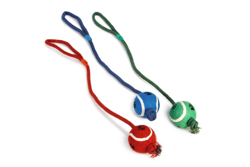 Beeztees Köpek Oyuncağı, İpli Tenis Topu, Çeşitli Renklerde, İp 60cm , Top 6cm - 1