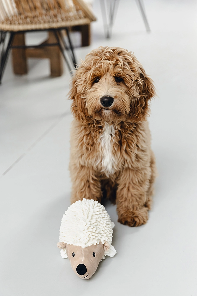 Beeztees Köpek Oyuncağı, Kirpi, Peluş, Beyaz, 26x14x15cm - 2